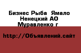 Бизнес Рыба. Ямало-Ненецкий АО,Муравленко г.